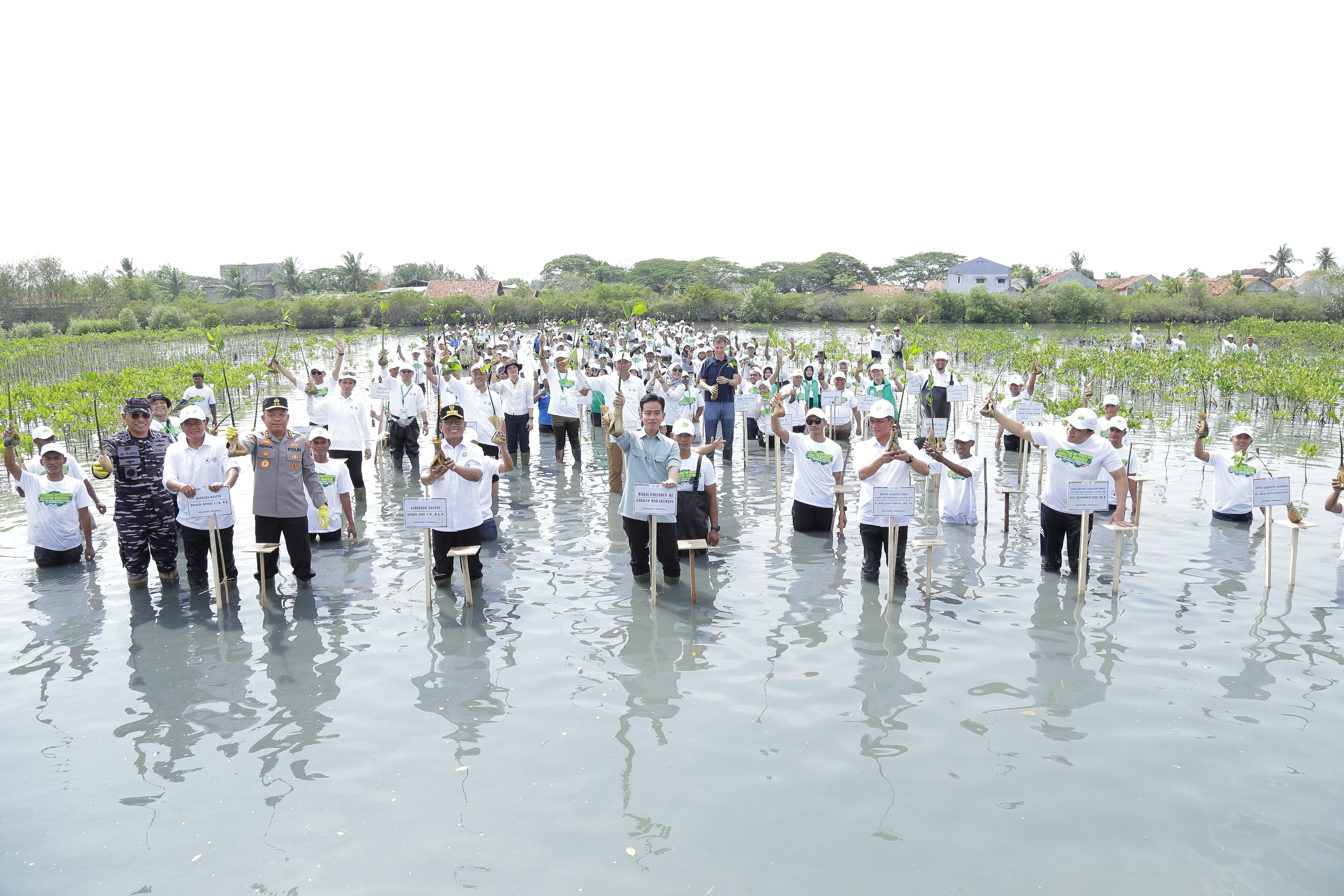 Pemulihan Ekosistem Mangrove Banten