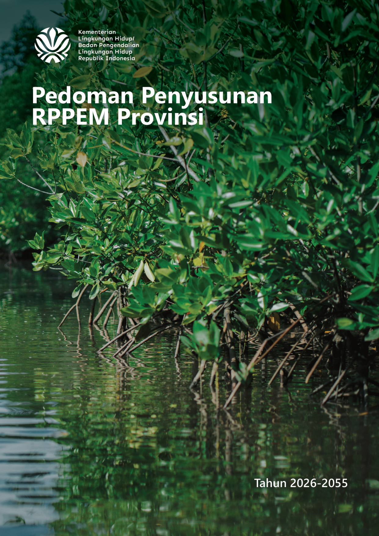 Panduan RPPEM Provinsi v.1.2 P