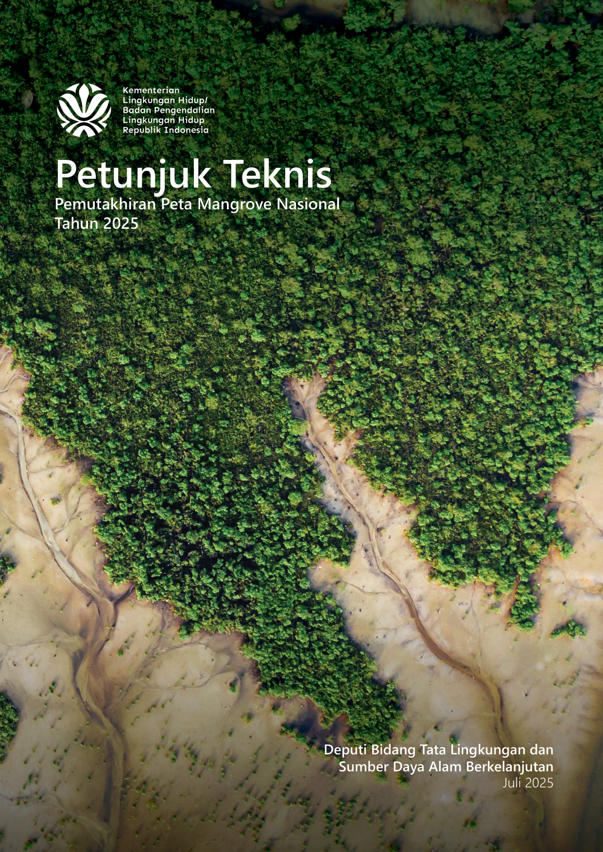 Petunjuk Teknis Pemutakhiran Peta Mangrove Nasional Tahun 2025