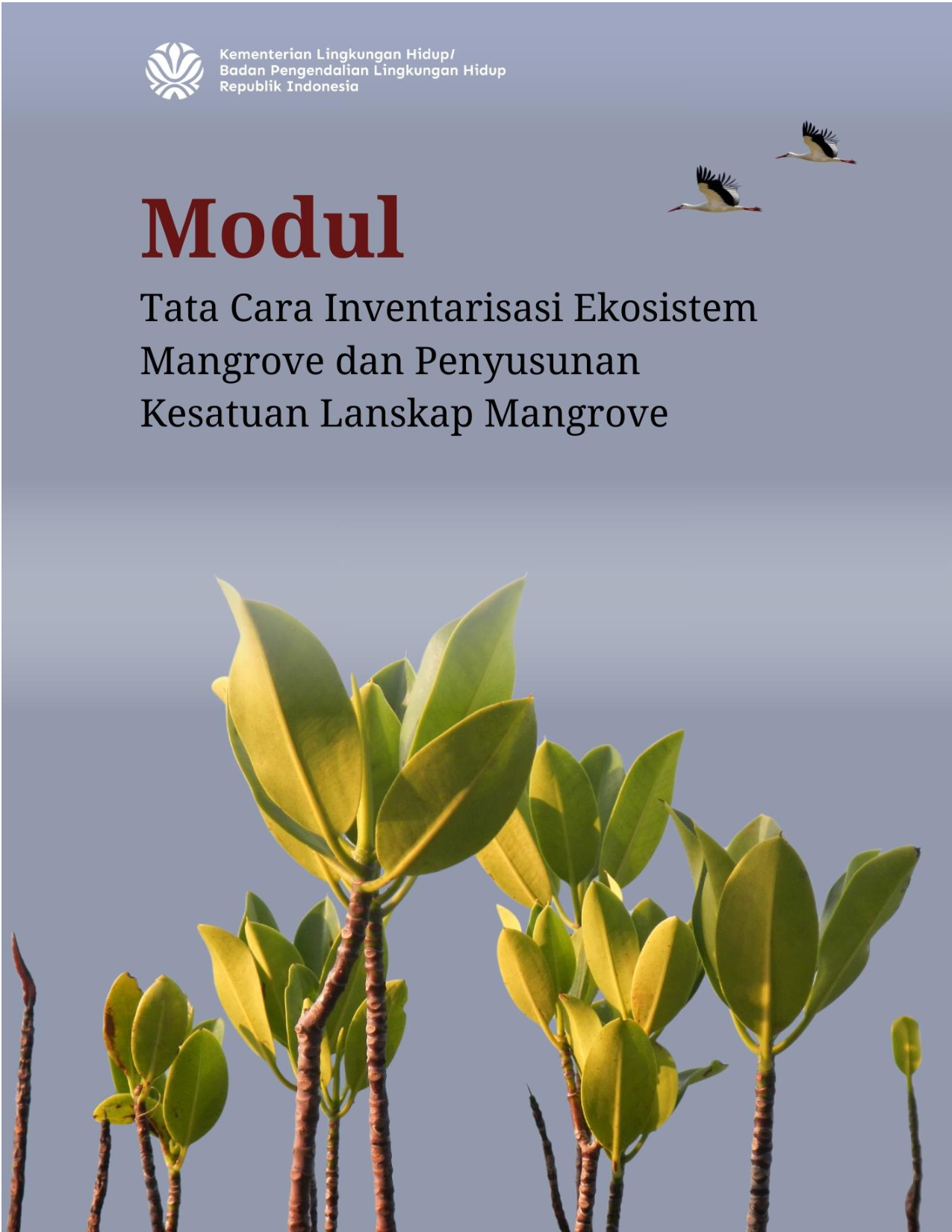 Modul Tata Cara Inventarisasi Ekosistem Mangrove dan Penyusunan Kesatuan Lanskap Mangrove